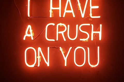 LOVE FOR THE CRIMINAL