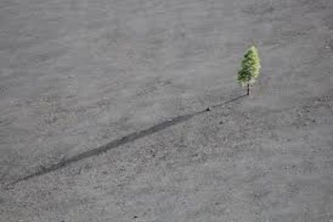 Lonelyness