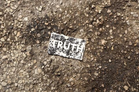 NOT THE TRUTH