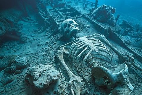 The Abyss: Bones of the Sea