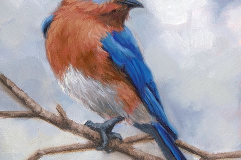 When the Bluebird Finally Sings 