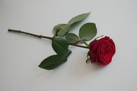 A LOVE DEVINE