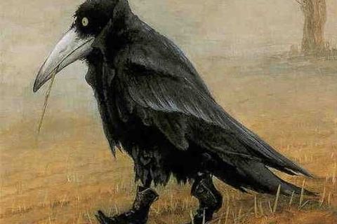 Raven on the Road