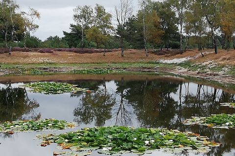 water on the heath
