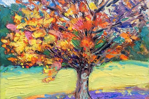 Colour's of the Great Oak
