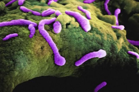 INFECTION Of POSSIBILITIES