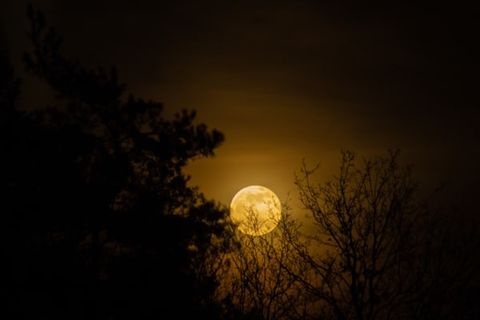 MOONLIGHT POWER CARRIER
