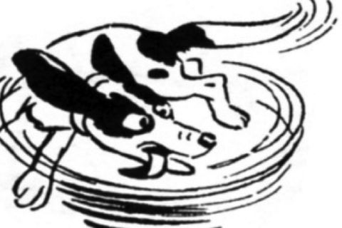 Dog Gone It 