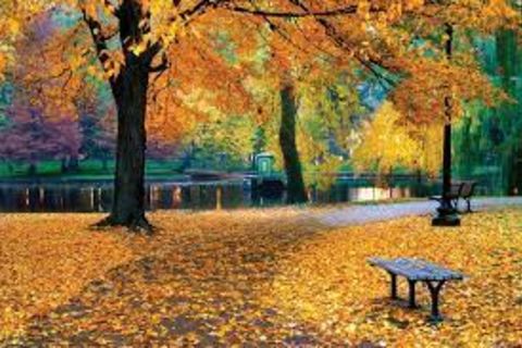Brisk temperatures at dawn and dusk herald incipient early Autumn...