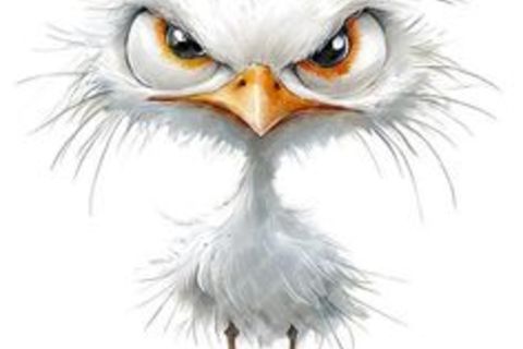 You