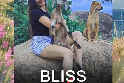 BLISS OF LOVE - BOOK OF POETRY BY WILLIAMSJI MAVELI 