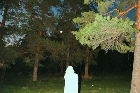 HERMIT PHASE