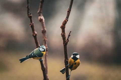THEY'RE NOT TALKING TO ME