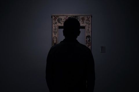 THE NARCISSIST DREAM