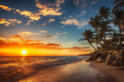 The Caribbean flame