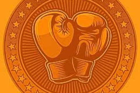 Boxing Champion Gold Coin 