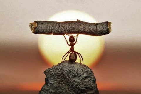 Admiration for Your Strength