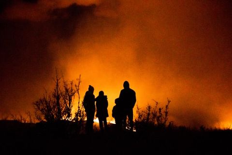 BECOME THE FOREST THEY CAN'T BURN