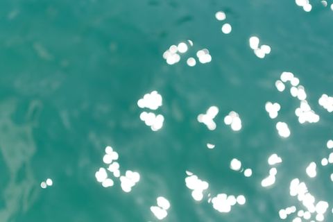 ELON IS GOING TO ZAP YOU