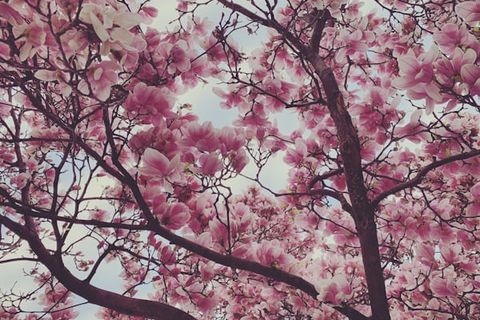 PEOPLE ARE STILL WAKING UP