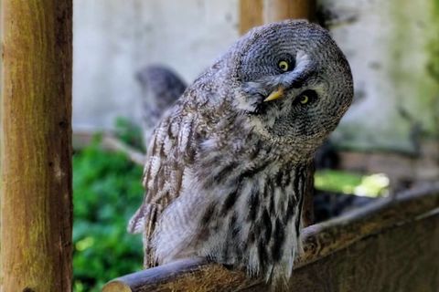 BET YOU DIDN'T SEE THAT COMING