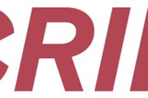 Fractured Mirrors:A small revolution in motion