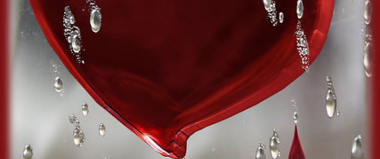 Real People Real People