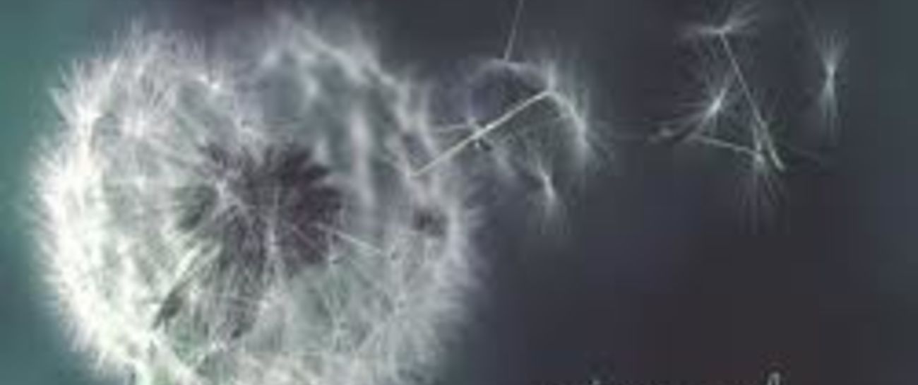 Meaning of life Meaning of life