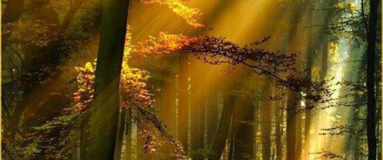 I wish i had a chance to say goodbye