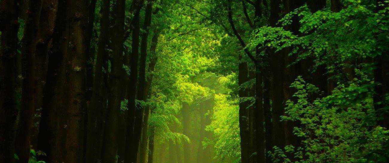 I dreamt of you today. I dreamt of you today.