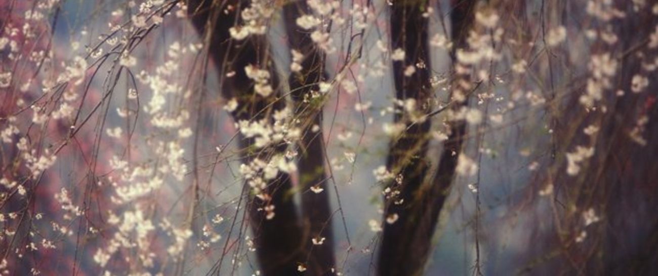 I am, what i am. I am, what i am.