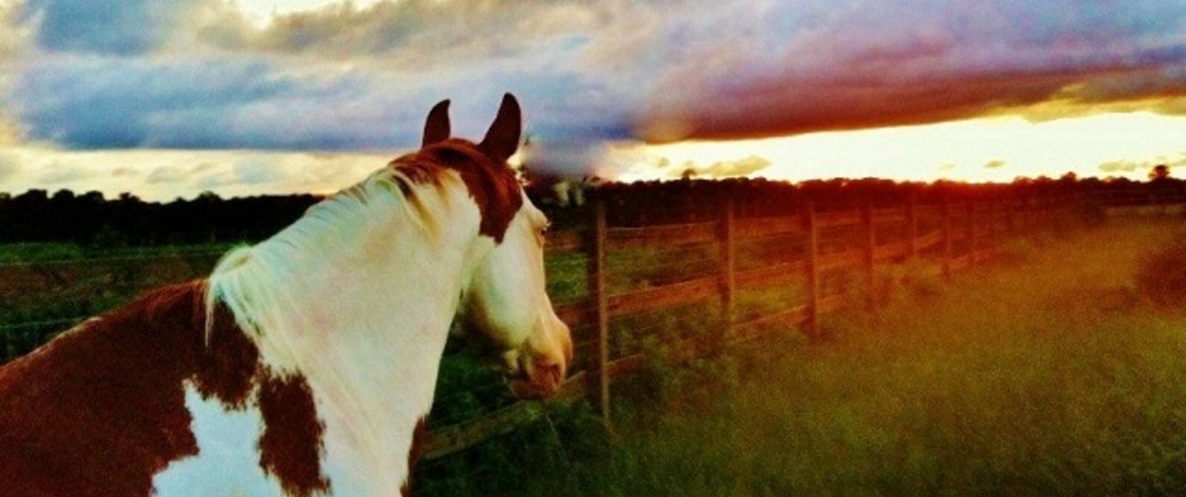 To Ride Again