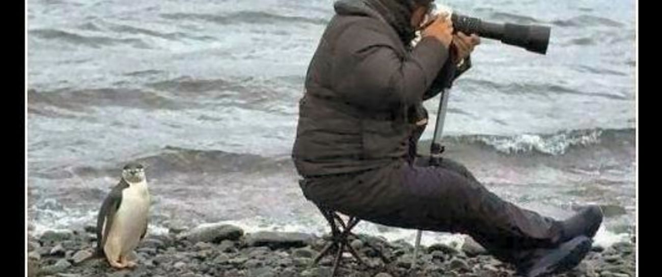 Laugh for a while Laugh for a while