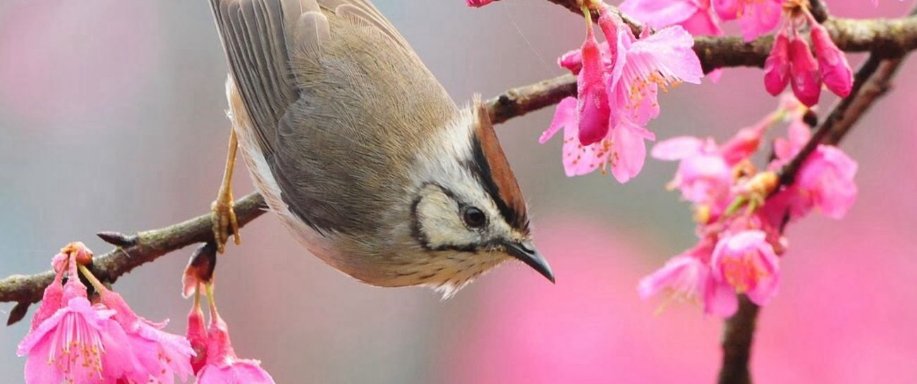 I wish for your freedom I wish for your freedom