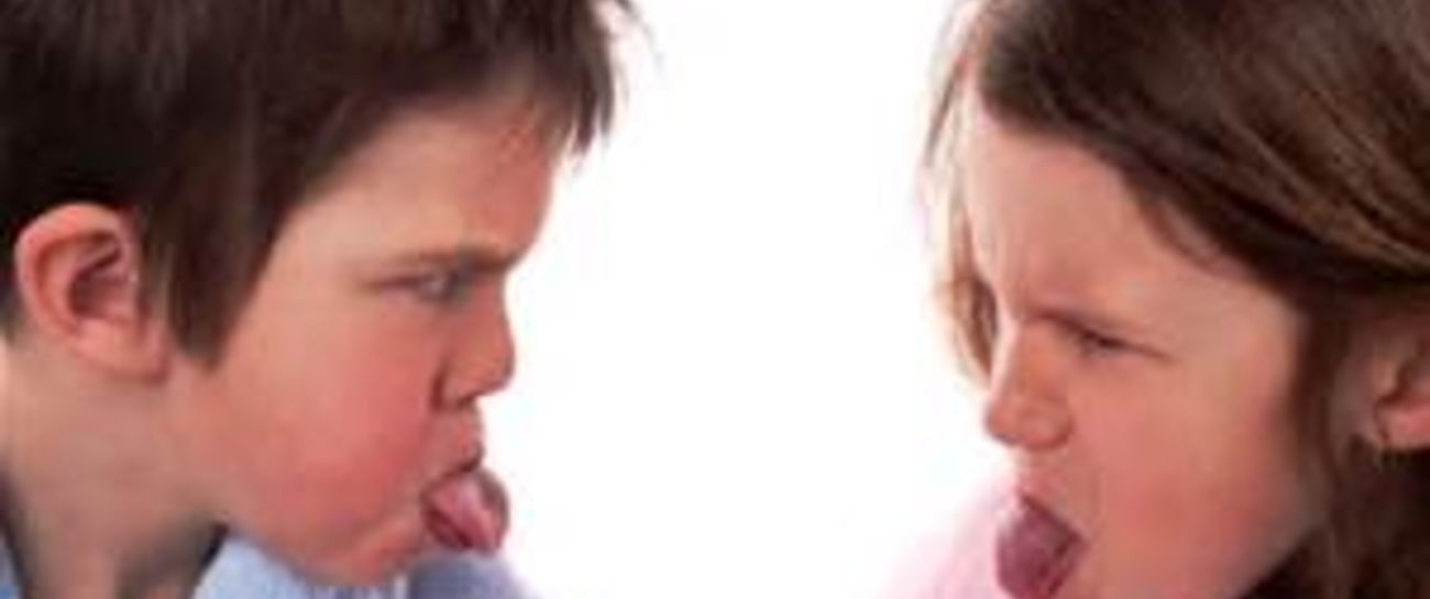 CONFESSIONS OF A BULLY CONFESSIONS OF A BULLY