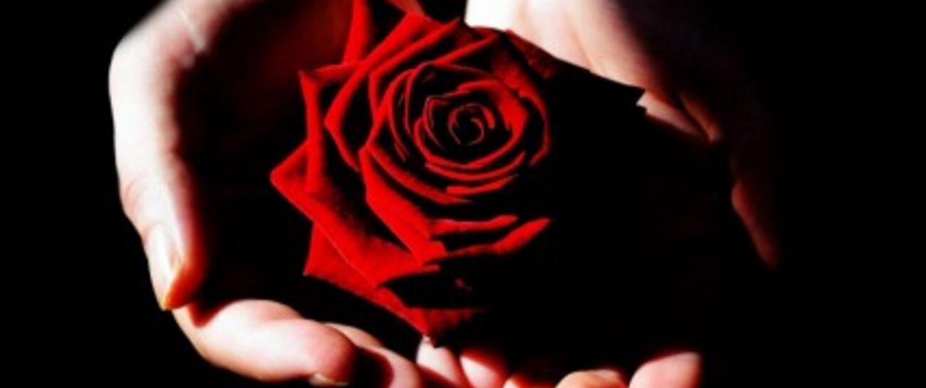 MY WISH FOR YOU – STOP AND BE THANKFUL