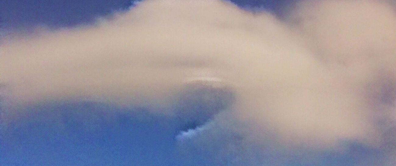 we become us... earthlings. we become us... earthlings.