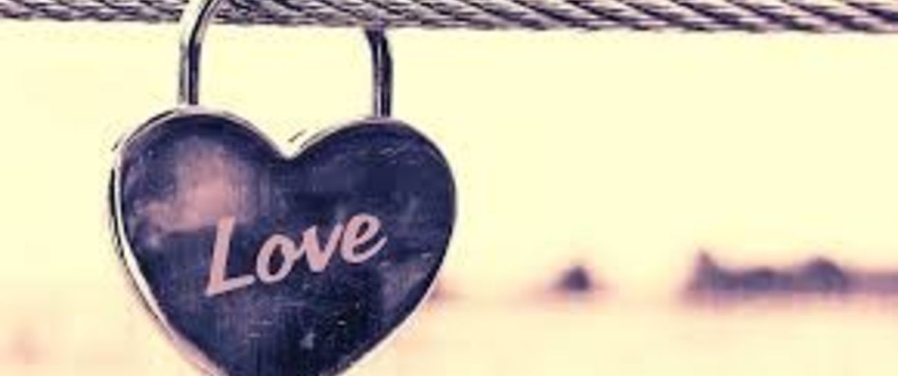 Love Wonders