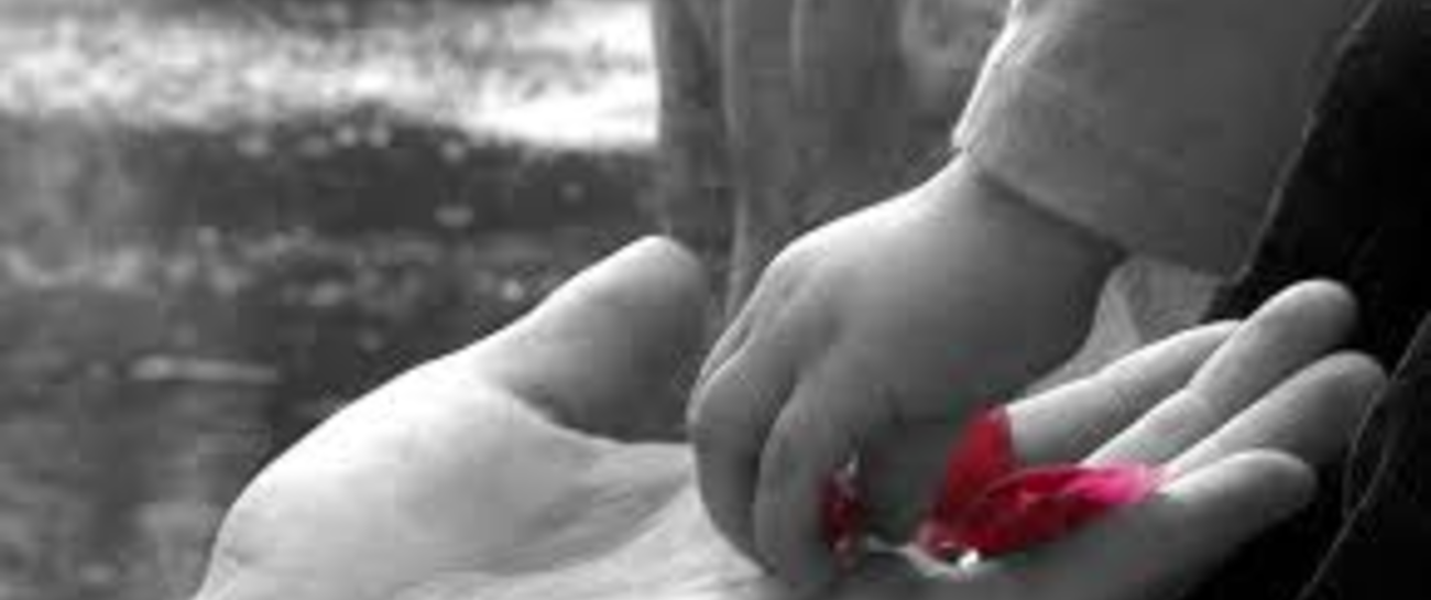 My Most Important Dream and Prayer so Far My Most Important Dream and Prayer so Far