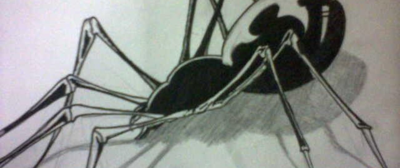 &quot;Cowering spider&quot; By Ben Goode 2014 (c)