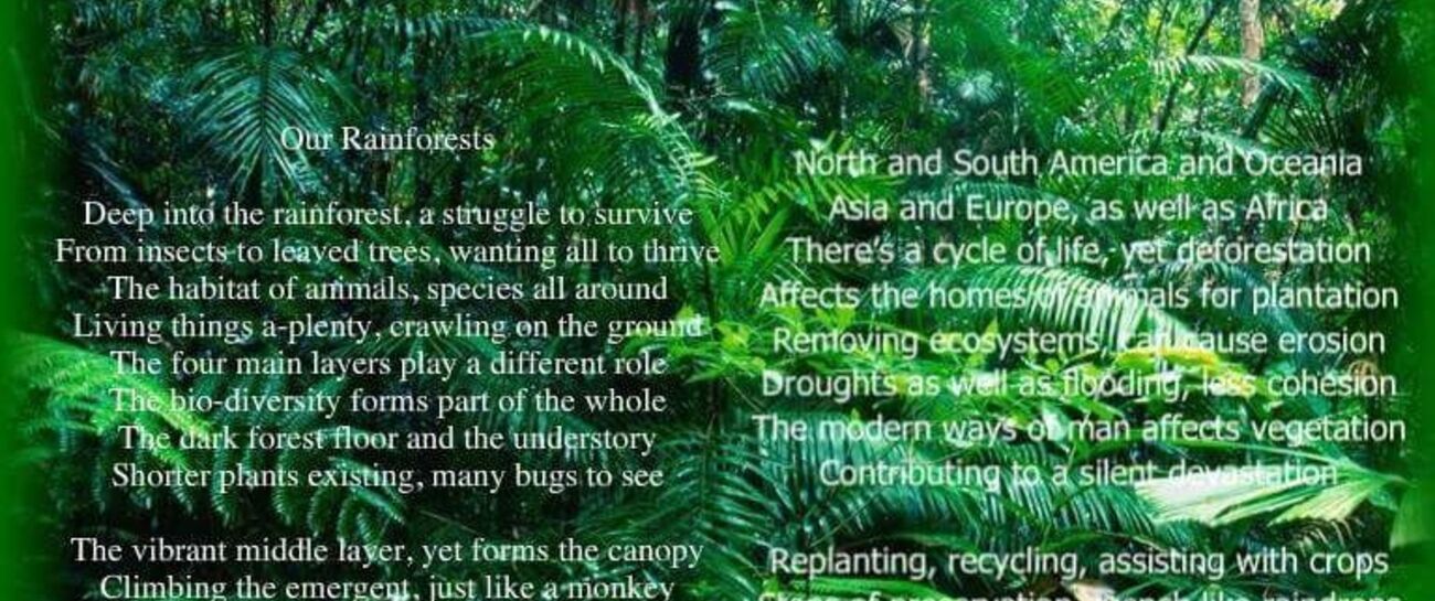 Our Rainforests - Poem by Geraldine Taylor