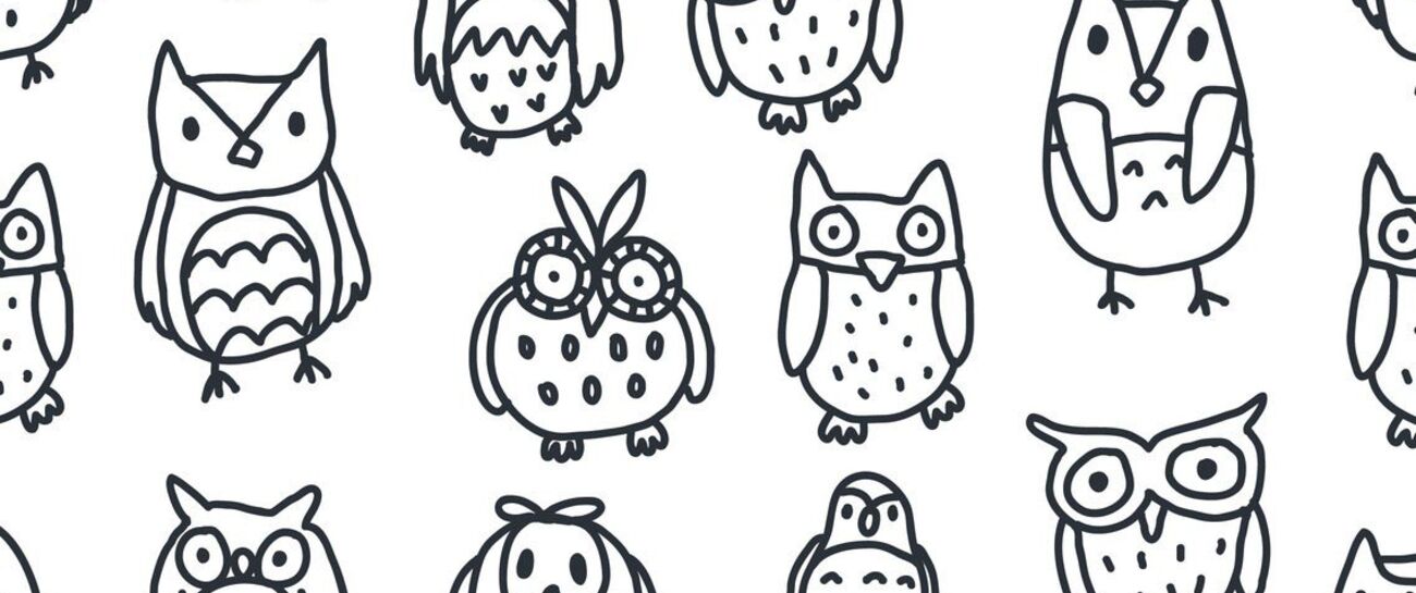 Little Owl