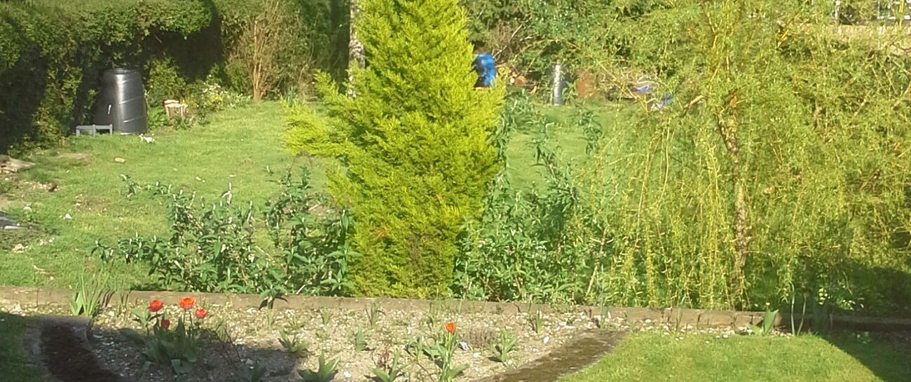 Birdsong Sanctuary