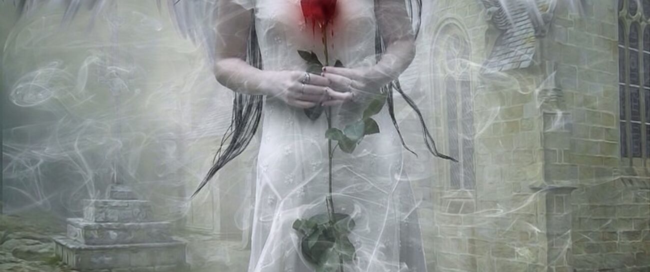 Bleeding heart...