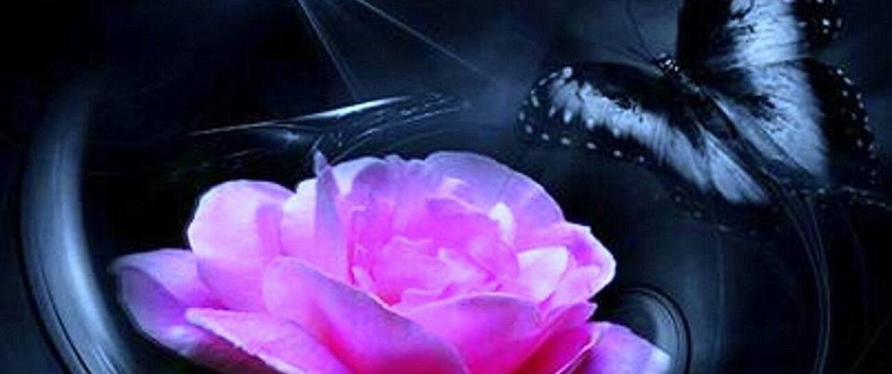 The Poet In The Light ~ (The Light Among The Roses)