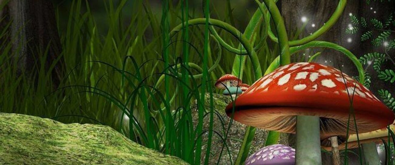 The Pixie King