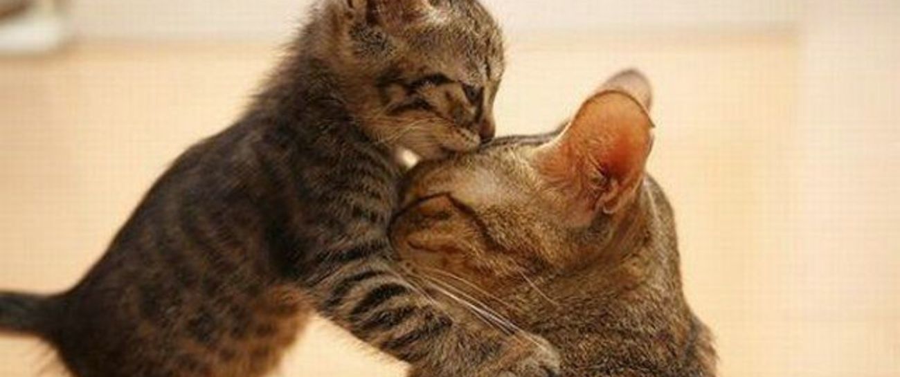 The Kiss