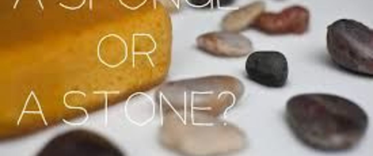 Sponge Or Stone