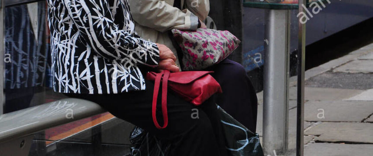 TWO OLD LADIES ON A BUS