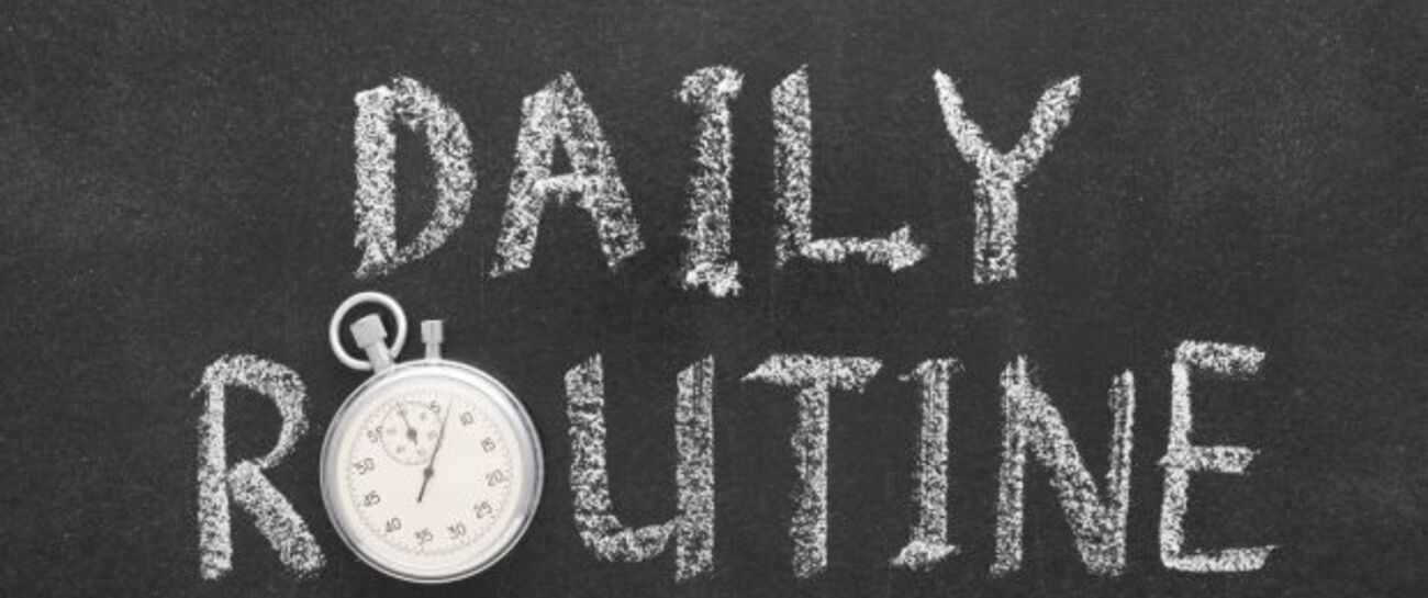 THE DAILY ROUTINE